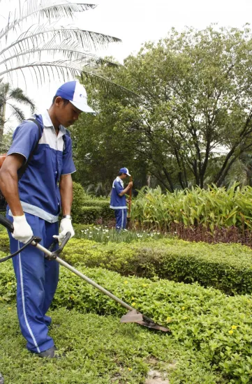  Our Services 3 _mg_1104