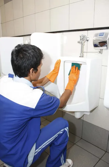  Our Services 9 _mg_1157